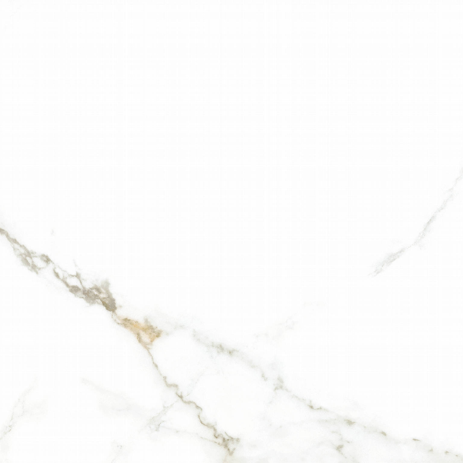 Lance Blanco Polished | General Ceramic Tiles