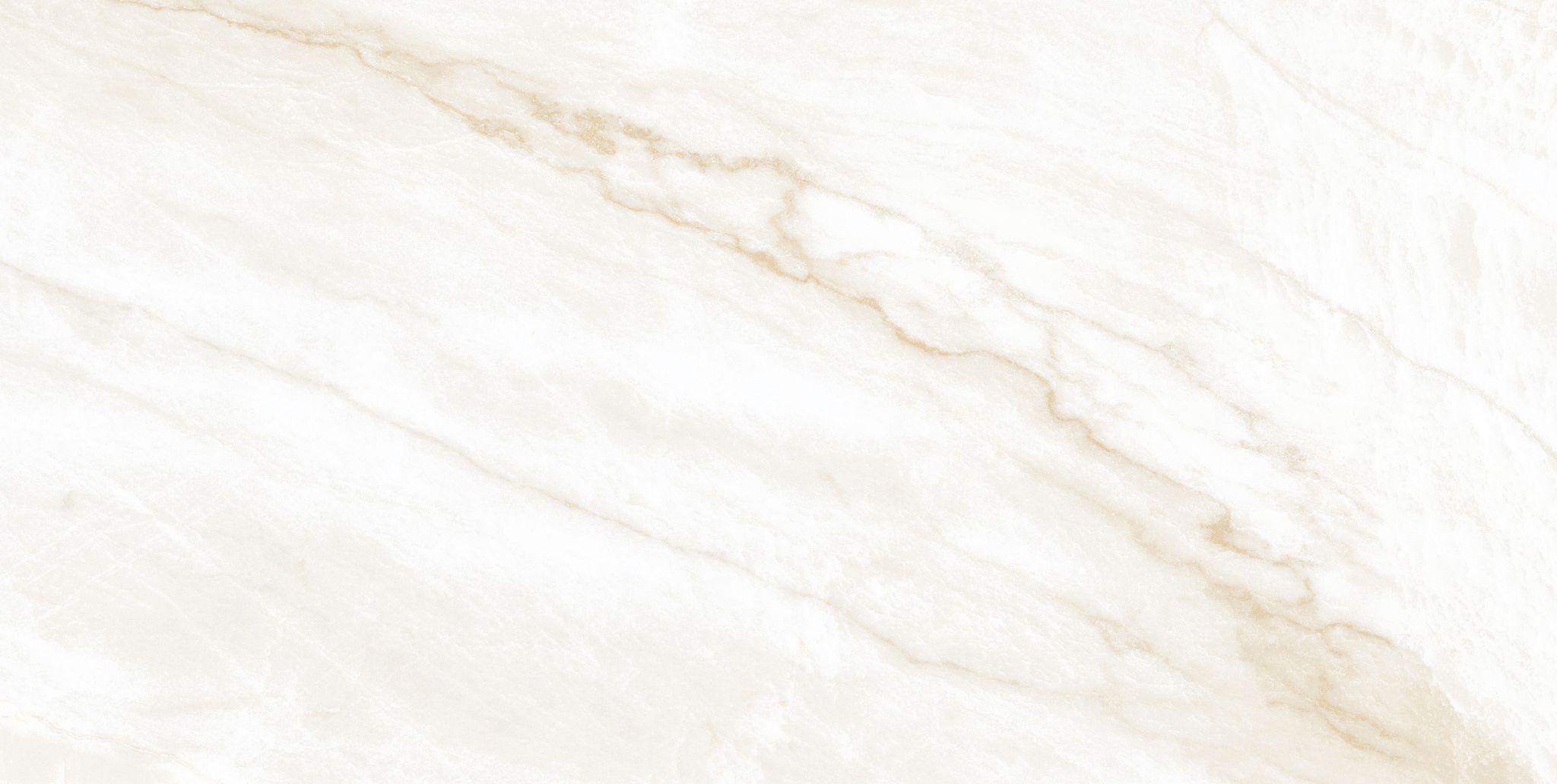 Clarke Bone Polished | General Ceramic Tiles
